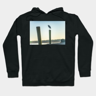 Great Blue Heron on a fishing dock Hoodie